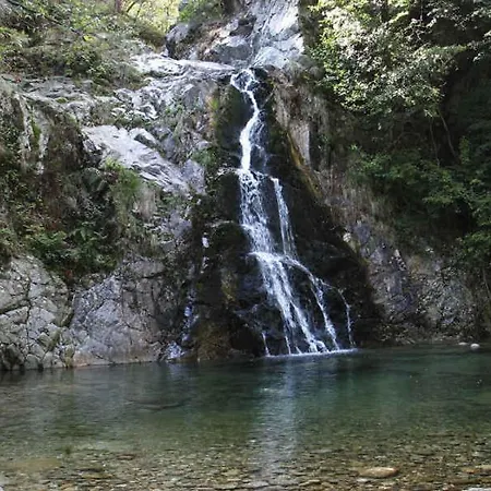 Tavallini