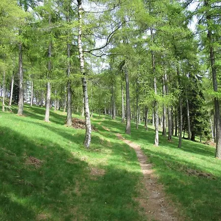 Tavallini