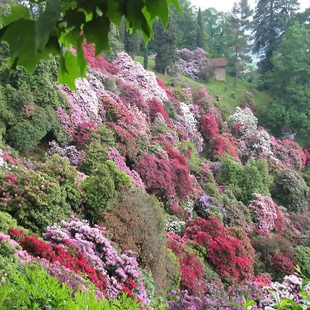 Tavallini Bed & Breakfast