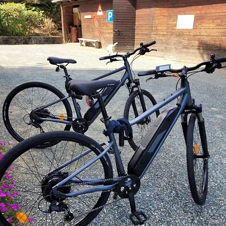 Tavallini Bed & Breakfast