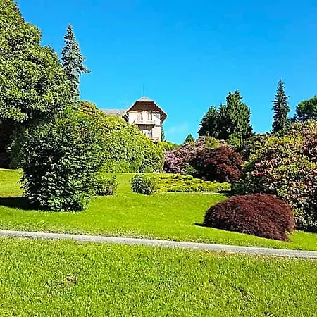Tavallini