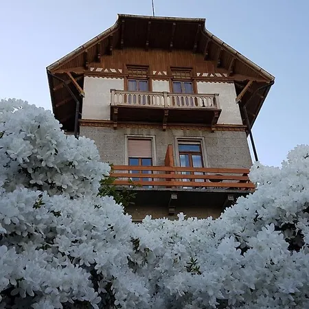 Bed & Breakfast Tavallini