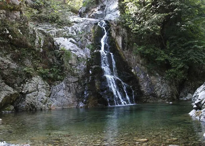 Tavallini