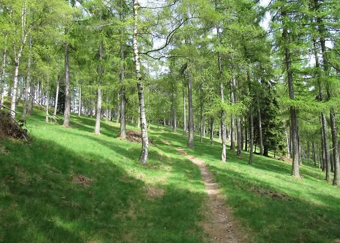 Tavallini