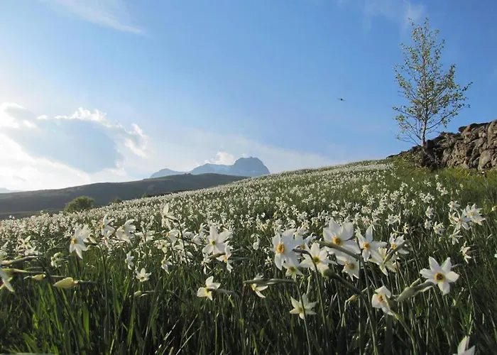 Bed and Breakfast Tavallini