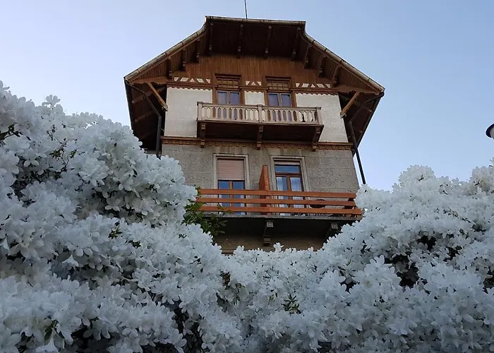 Bed and Breakfast Tavallini